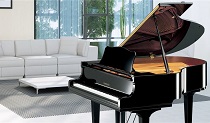 Grand Piano